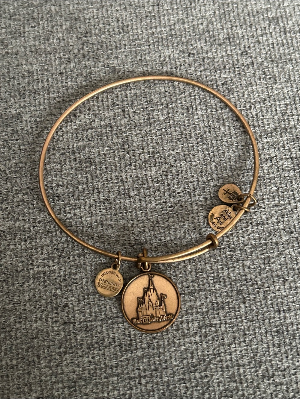Alex and Ani Disney World Castle Charm Bangle - Bronze